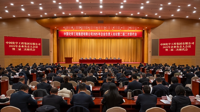 化學評論 | 團結一致向未來！邁向高質量發展新征程
